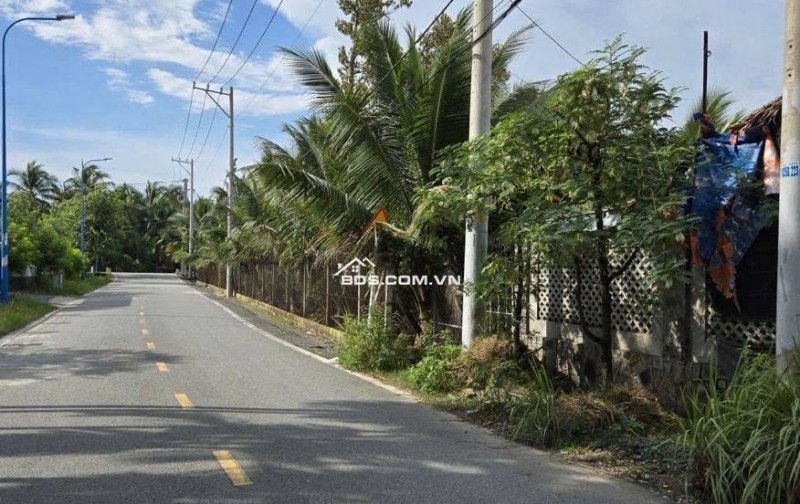 BÁN 13.479,9M² ĐẤT TRỒNG CÂY ĐÔNG THẠNH - HÓC MÔN - 2 MẶT TIỀN